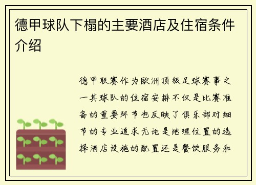 德甲球队下榻的主要酒店及住宿条件介绍