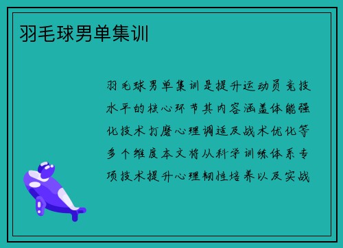 羽毛球男单集训
